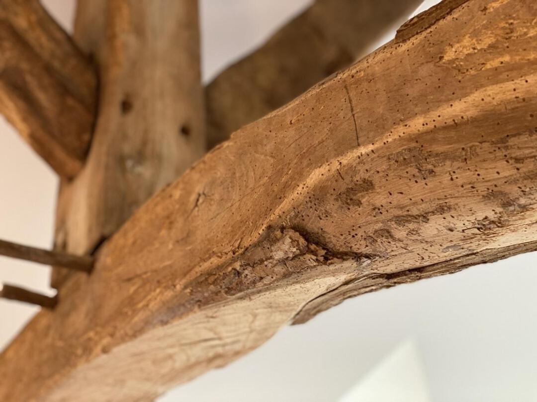 Le Domaine D'Angerville - Chambres D'Hotes Szoba fotó
